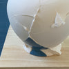 Vases - Fragment(s) Bottle Series - low (09-C-1)