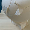 Vases - Fragment(s) Bottle Series - low (09-D-1)