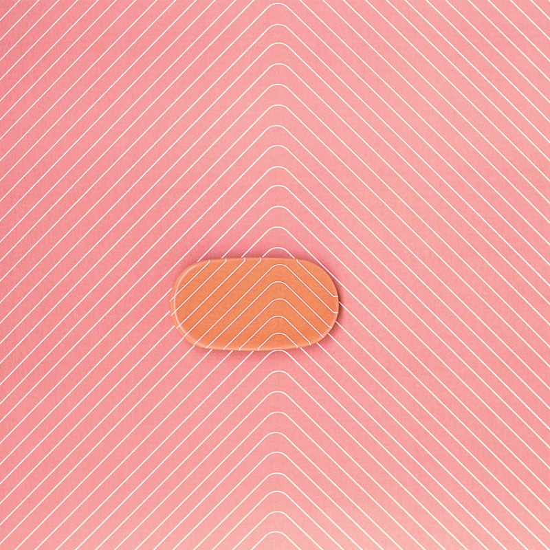 Sushi Nigiri - Salmon