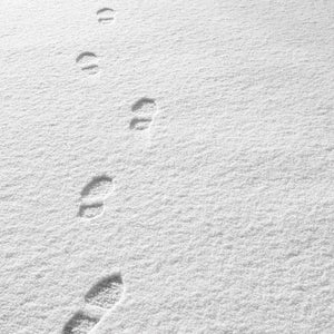 Snow oval large plate